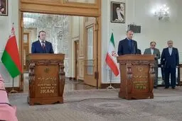 أمیر عبداللهیان: على اوروبا وقف مسارها غیر البناء