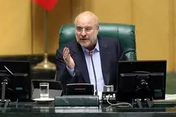 لایحه حجاب اصل هشتاد و پنجی شد زیرا سرعت عمل می‌خواستیم