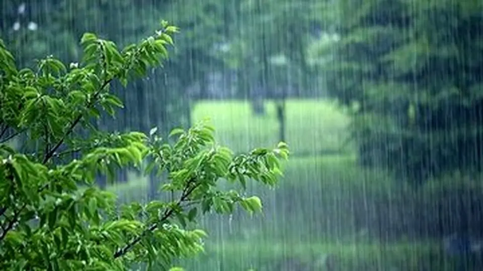 باد و باران در نقاط مختلف کشور

