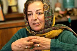 مدیرعامل خانه سینما: وزارت ارشاد سعی دارد که اساسنامه خانه سینما به شکلی نوشته شود که همه چیز تحت کنترل آن‌ها باشد