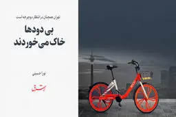 بی دود ها خاک می خوردند 