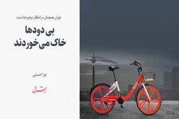 بی دود ها خاک می خوردند 