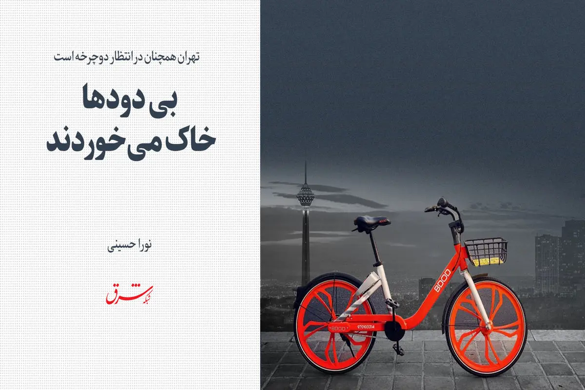 بی دود ها خاک می خوردند 
