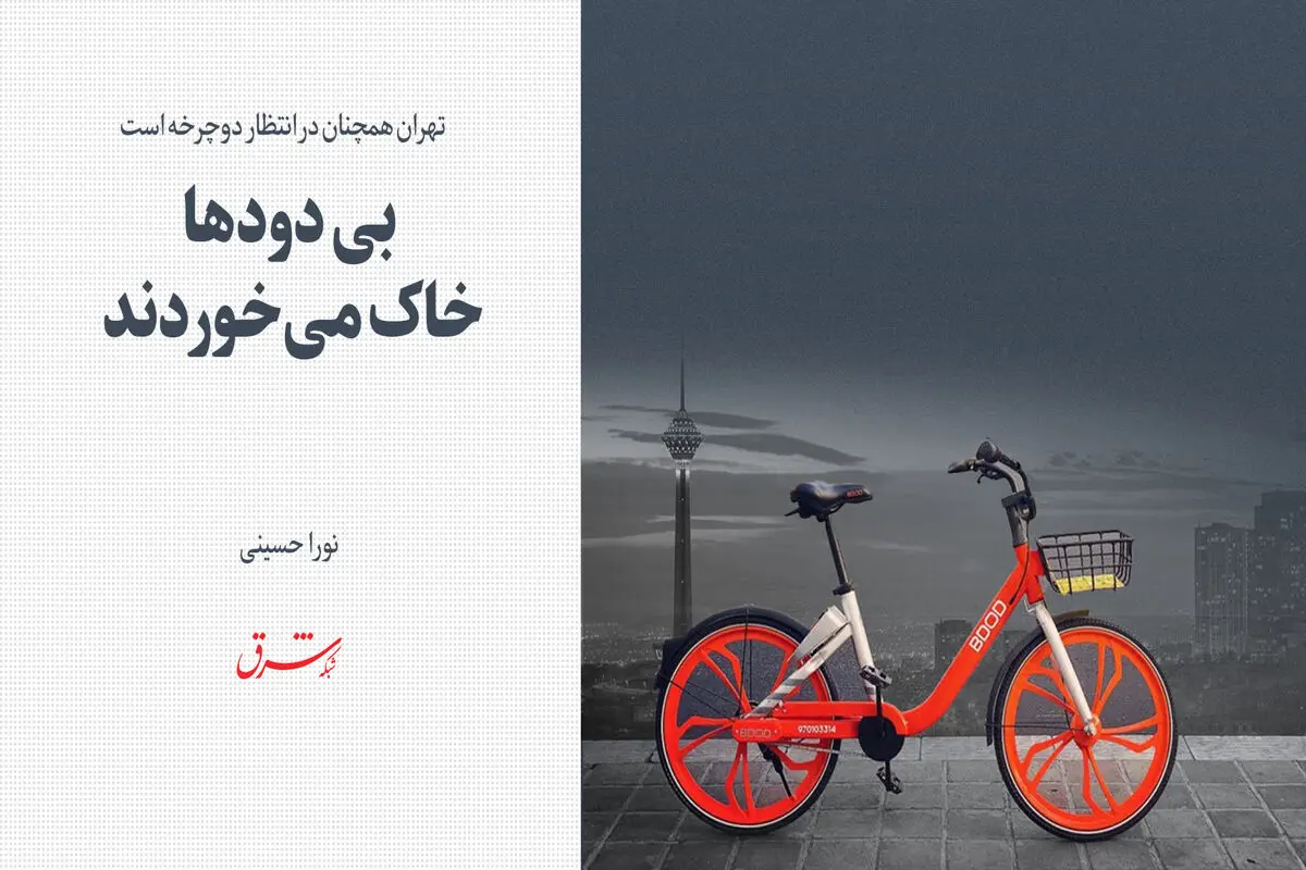 بی دود ها خاک می خوردند 