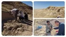 فسیل‌های زرافه و کرگدن در منطقه «آهق» مراغه شناسایی شد / ویدئو
