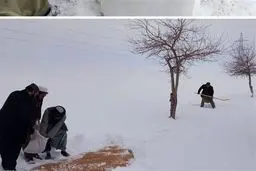 ایران جان‌باختن شهروندان افغانستان در پی برف و باران شدید را تسلیت گفت