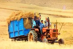 حقوق روستایی، فراموش‌شده در هیاهوی شهرنشینان
