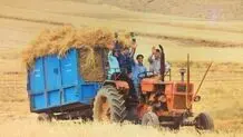 حقوق روستایی، فراموش‌شده در هیاهوی شهرنشینان
