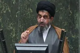 موسوی لارگانی: واردات خودرو‬⁩ به نام مردم و به کام پولدار بی فایده است