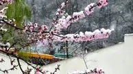 پیش بینی هوای سمنان پنج شنبه 28 فروردین