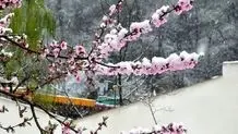 پیش بینی هوای سمنان پنج شنبه 28 فروردین