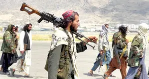 طالبان ذوب در رفاقت