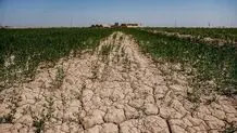 خسارت ۱۰ میلیارد دلاری فرسایش خاک در ایران
