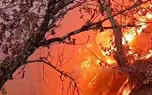 آتش سوزی گسترده در ارتفاعات کبیرکوه دره‌شهر