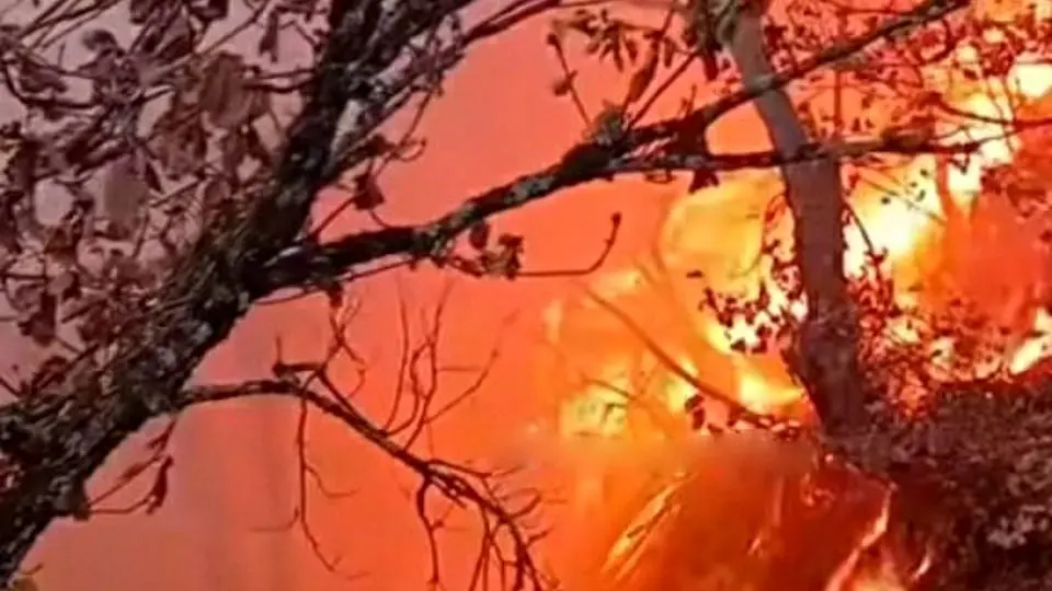 سه دره موازی در حال سوختن/ درخواست بالگرد دادیم