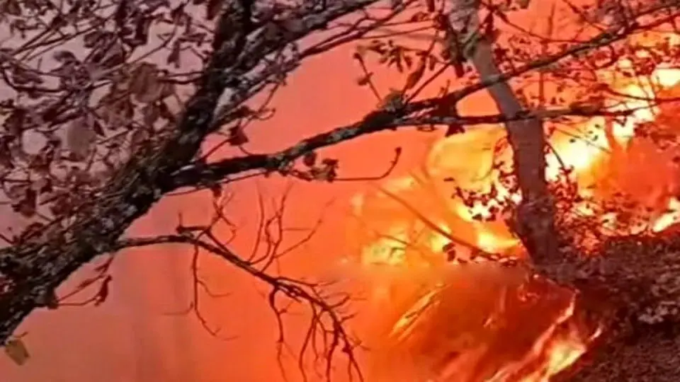 کارزار مردمی درخواست برای اعزام فوری هواپیمای ایلوشن به منطقه آتش‌سوزی جنگل‌های هیرکانی