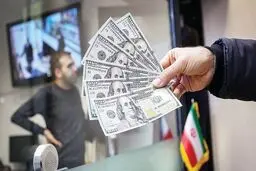 عوامل افزایش قیمت ارز همچنان فعال است/ از فرصت امسال برای اصلاح سیاست‌های ارزی استفاده‌ نشد

