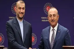 Iran, Turkey FMs confer on bilateral ties
