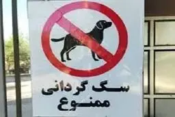 سگ‌گردانی در زرند ممنوع شد