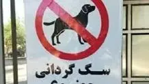 سگ‌گردانی در زرند ممنوع شد