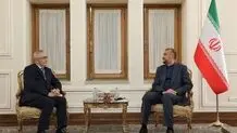امیر عبداللهیان : تنفیذ ممر الخلیج الفارسي- البحر الاسود مصدر لتطورات إیجابیة