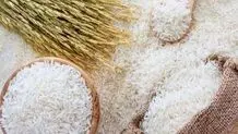 جدیدترین قیمت برنج ایرانی در بازار/ برنج هاشمی و طارم عطری کیلویی چند شد؟

