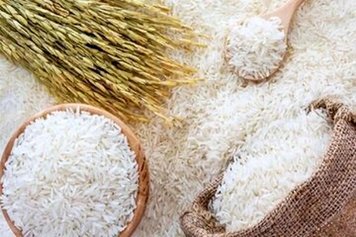 جدیدترین قیمت برنج ایرانی در بازار/ برنج هاشمی و طارم عطری کیلویی چند شد؟


