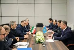 Helping Palestinians ensures stability, security of region
