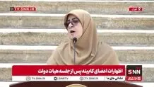مهاجرانی: برنامه دولت برای دوره پس از فعال شدن مکانیسم ماشه در حال نهایی شدن است/ آرایش جدید دولت در شرایط جنگی + ویدئو