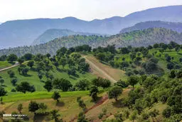 زاگرس، ستون‌فقرات ایران را نشکنید