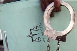 بازداشت ۳۷ عضو شوراهای استان تهران در سال ۱۴۰۲ 