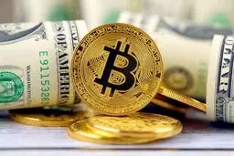 آموزش ارز دیجیتال با مدرسان پیشتاز
