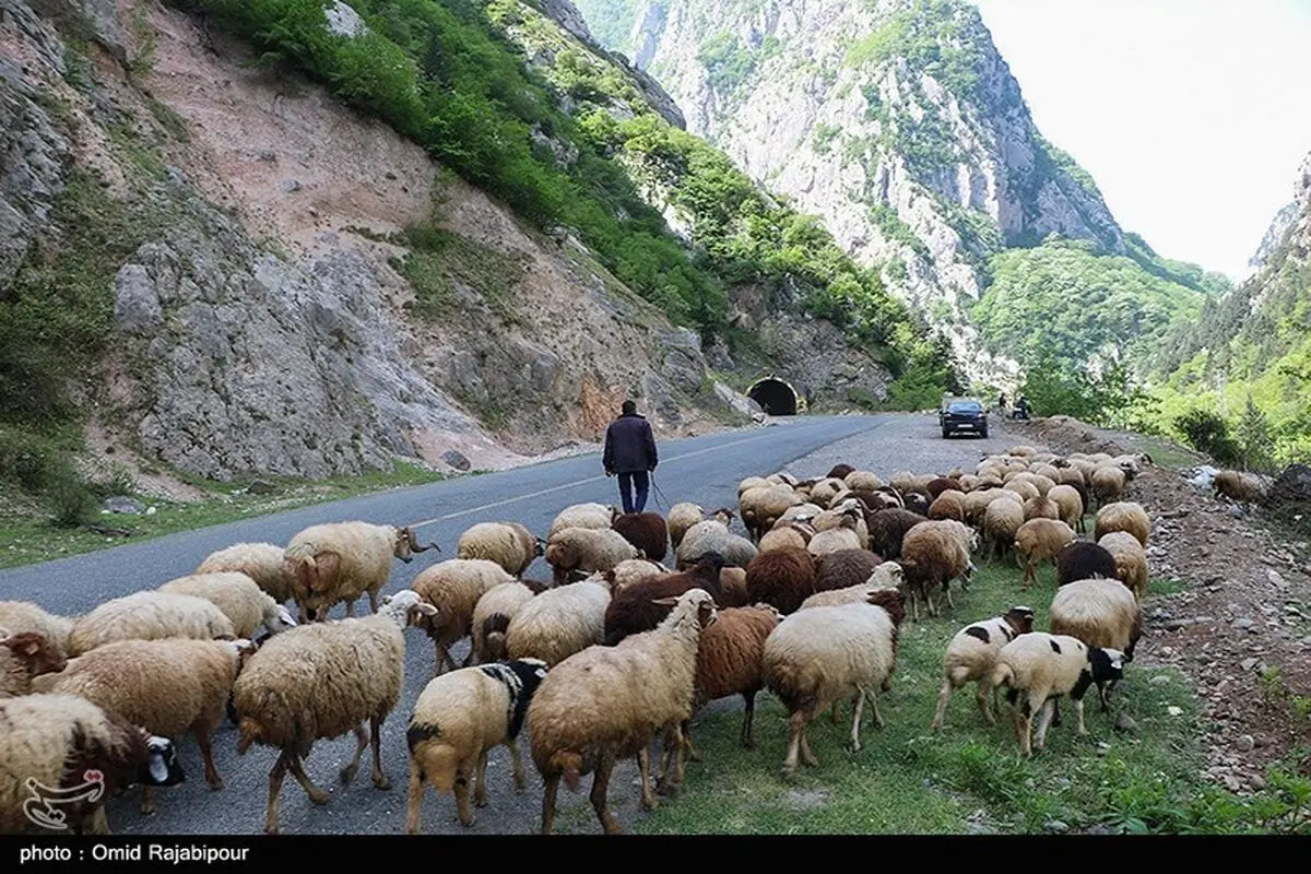 پیش بینی هوای گیلان فردا 12 اردیبهشت 1405/افزایش دما