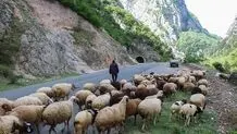 بحث راه اندازی مدارس طبیعت پیگیری می شود 