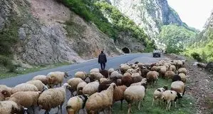 پیش بینی هوای گیلان فردا 12 اردیبهشت 1405/افزایش دما