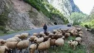 بحث راه اندازی مدارس طبیعت پیگیری می شود 