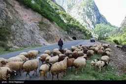 پیش بینی هوای گیلان فردا 12 اردیبهشت 1405/افزایش دما