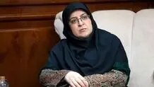 مهاجرانی: قیمت فعلی بنزین ارزان است ولی بدون کار کارشناسی و آمادگی مردم افزایش نمی‌یابد + ویدیو 
