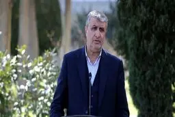 رئیس سازمان انرژی اتمی: در مورد ۲ مکان باقی‌مانده، مدارکی به آژانس ارسال کردیم/ اگر مورد پذیرش واقع نشود مستندات بیشتری ارائه خواهیم کرد