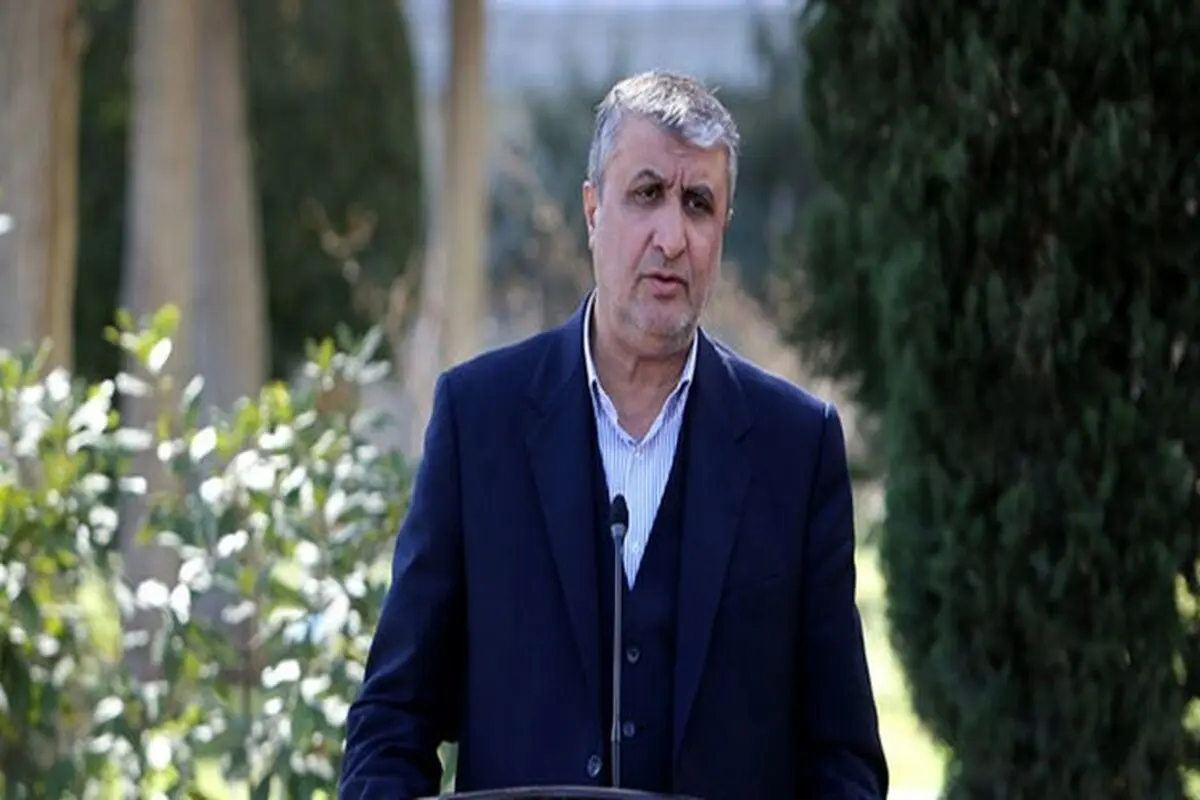 رئیس سازمان انرژی اتمی: در مورد ۲ مکان باقی‌مانده، مدارکی به آژانس ارسال کردیم/ اگر مورد پذیرش واقع نشود مستندات بیشتری ارائه خواهیم کرد