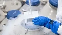 «فریز تخمک» در دختران؛ از هزینه‌ها تا یک چالش‌ قانونی/ فریز تخمک دختران مشروط به اجازه پدر است؟
