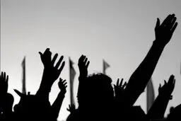  نیاز به آشیانه اعتراض
