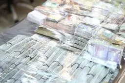 اموال سرقتی تحویل بانک مرکزی شد