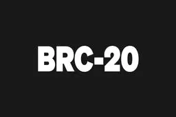ViaBTC | زوال توکن های BRC-20