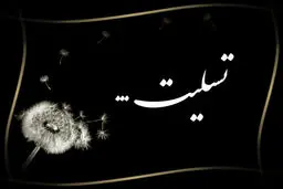 شهادت 6 شهروند قزوینی در حمله اسرائیل