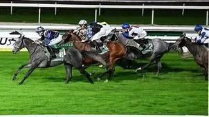 اسب ایرانی قهرمان شد