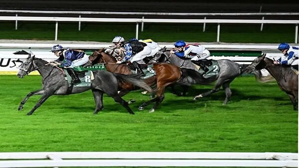 اسب ایرانی قهرمان شد