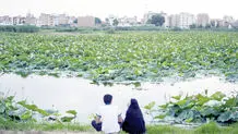 ورود 3 شهر ایران به فهرست شهرهای تالابی کنوانسیون رامسر
