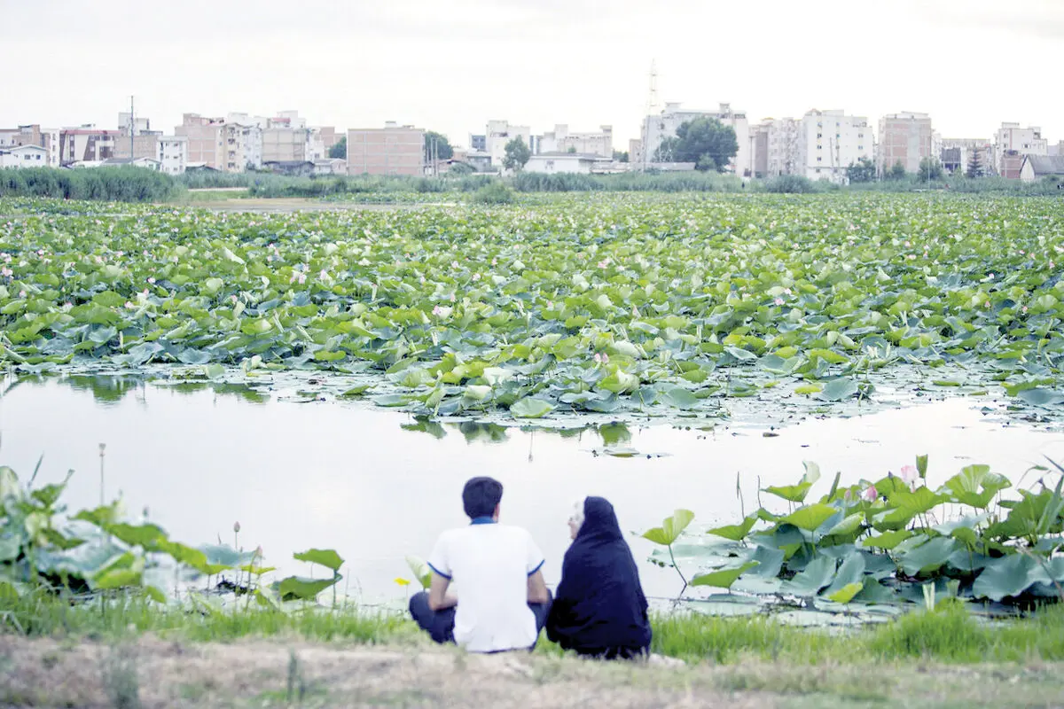 ورود 3 شهر ایران به فهرست شهرهای تالابی کنوانسیون رامسر
