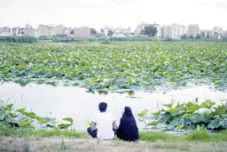 ورود 3 شهر ایران به فهرست شهرهای تالابی کنوانسیون رامسر
